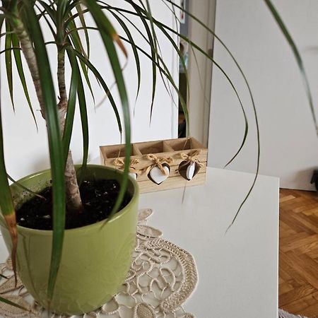 Cosy Apartment In The Heart Of スコピエ エクステリア 写真
