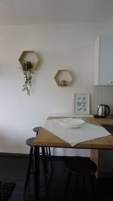 Cosy Apartment In The Heart Of スコピエ エクステリア 写真