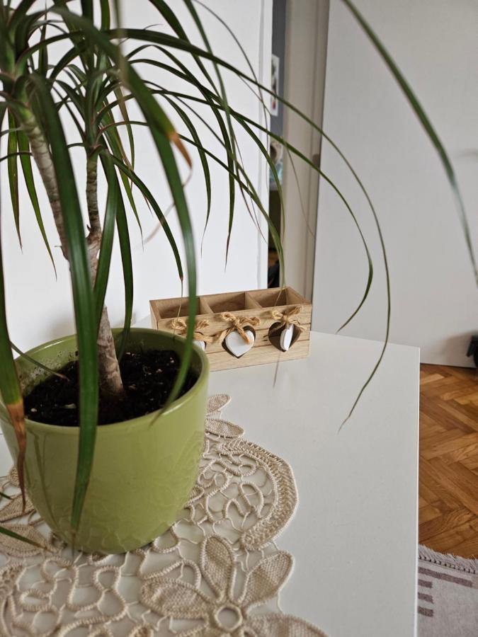 Cosy Apartment In The Heart Of スコピエ エクステリア 写真